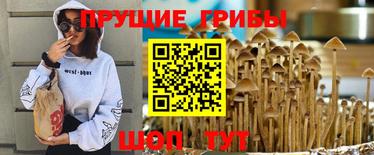 Псилоцибиновые грибы Magic Shrooms  Вход с VPN  Галлюциногенные грибы Psilocybe  хочу наркоту  Хасавюрт 