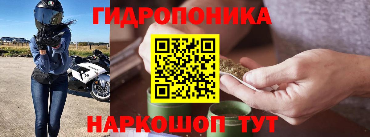 Каннабис индика  Вход с VPN  Каннабис OG Kush  Хасавюрт  МАРИХУАНА семена 